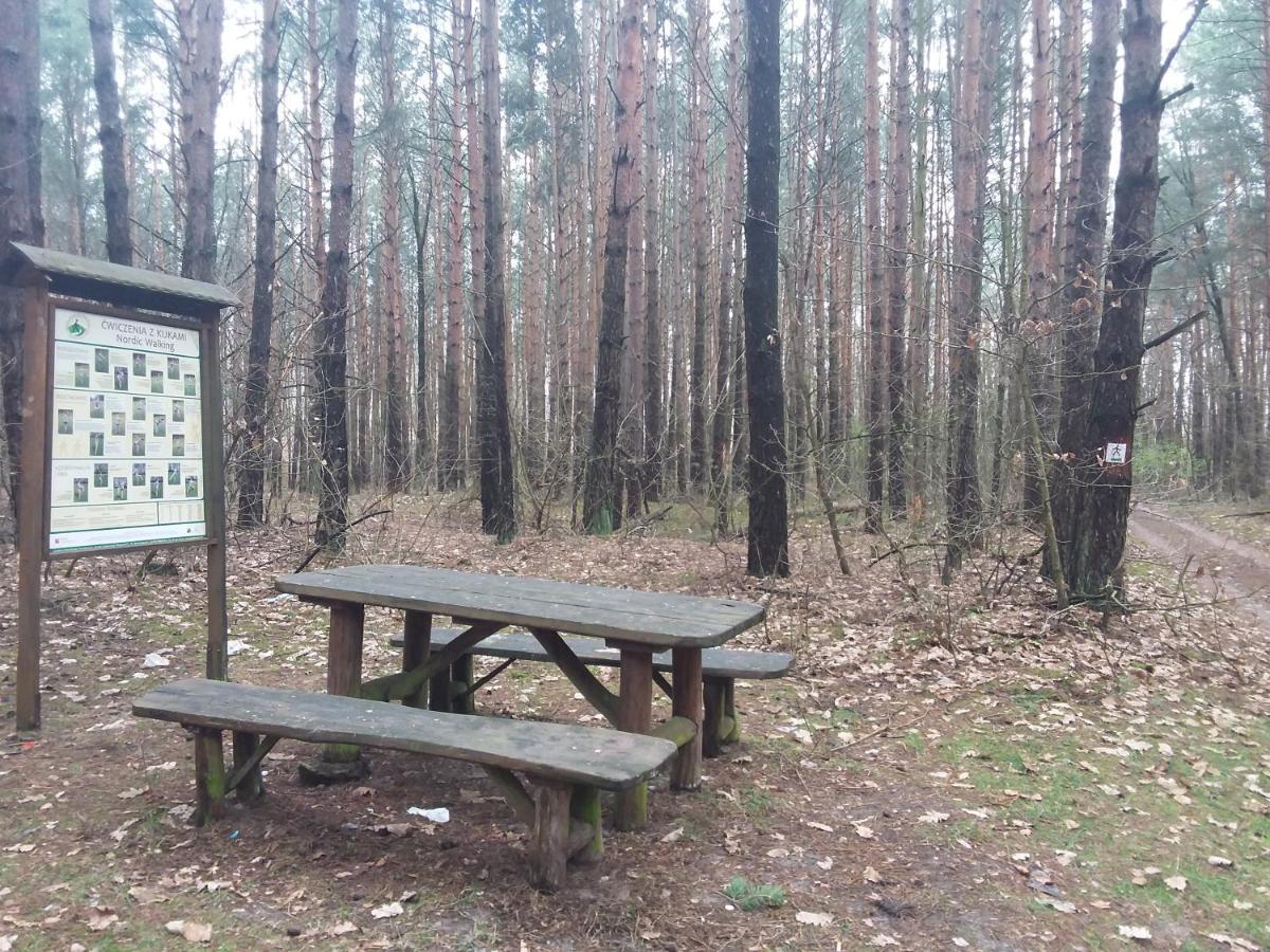 Dworek Akacja Uslugi Hotelarskie ヤノビエツ エクステリア 写真